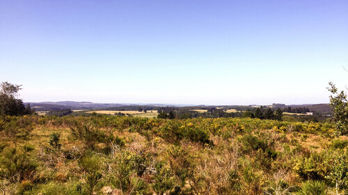 Le Puy d'Auroc