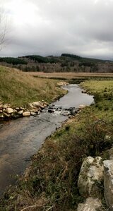 Effacement du plan d'eau